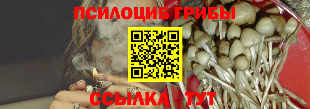 Омск  что такое   Вход с VPN  Псилоцибиновые грибы мицелий 